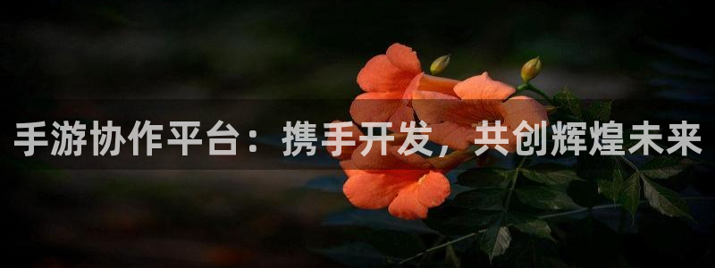 恒盛娱乐官网：手游协作平台：携手开发，共创辉煌未来