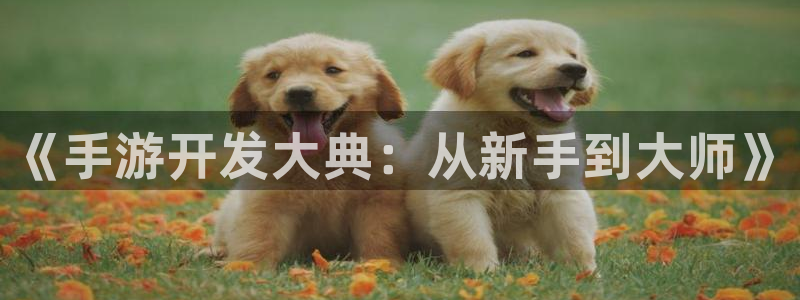 恒盛娱乐平台：《手游开发大典：从新手到大师》