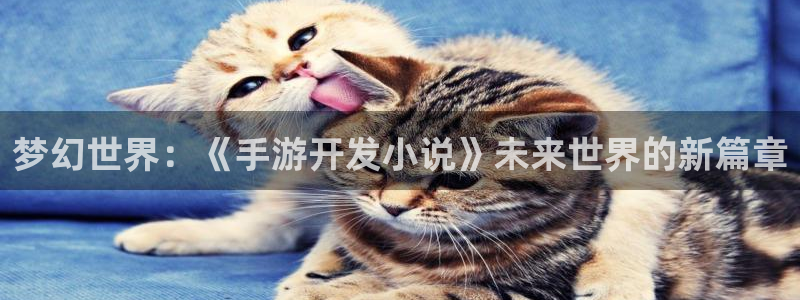 恒盛娱乐登录：梦幻世界：《手游开发小说》未来世界的新篇章