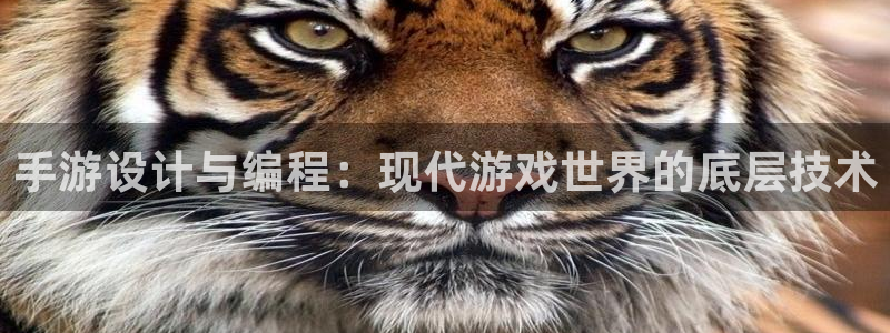 恒盛娱乐注册：手游设计与编程：现代游戏世界的底层技术