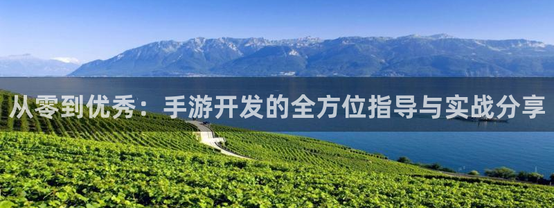恒盛娱乐首页：从零到优秀：手游开发的全方位指导与实战分享
