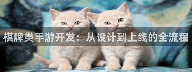 恒盛娱乐登录：棋牌类手游开发：从设计到上线的全流程