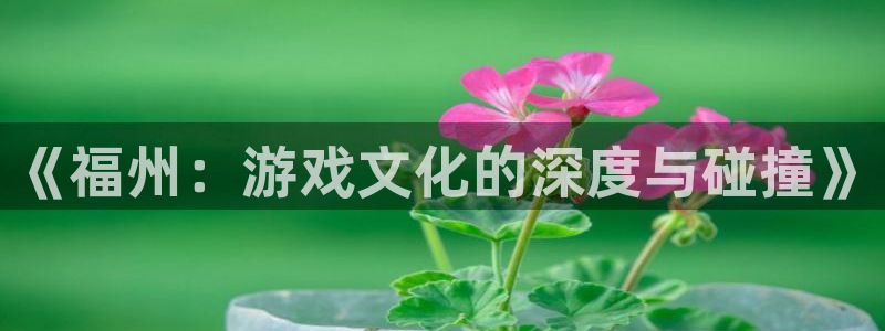 恒盛娱乐app：《福州：游戏文化的深度与碰撞》