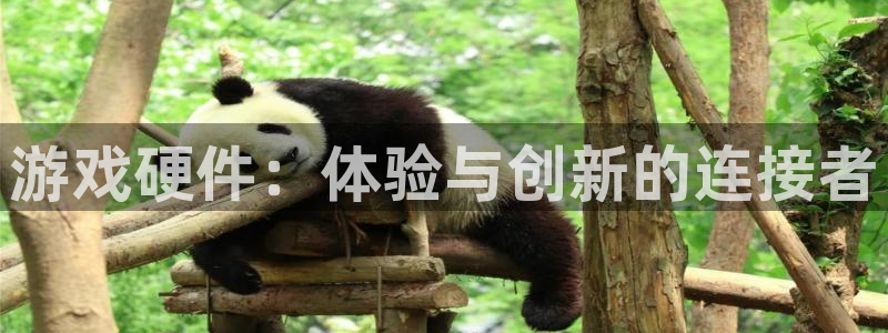 恒盛娱乐：游戏硬件：体验与创新的连接者