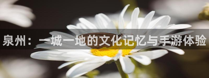 恒盛娱乐登陆：泉州：一城一地的文化记忆与手游体验