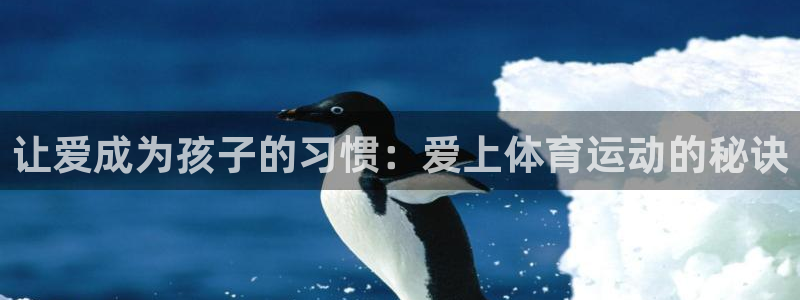 熊猫体育手机版下载：让爱成为孩子的习惯：爱上体育运动的秘诀