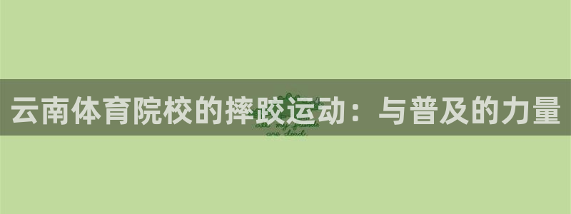 熊猫体育文化有限公司