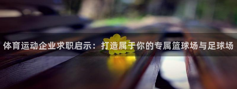 熊猫体育：体育运动企业求职启示：打造属于你的专属篮球场与足球场