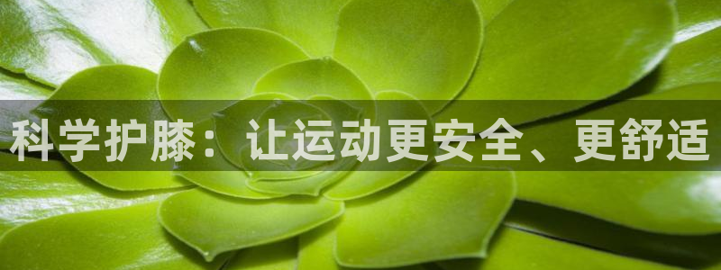 熊猫体育文化有限公司：科学护膝：让运动更安全、更舒适