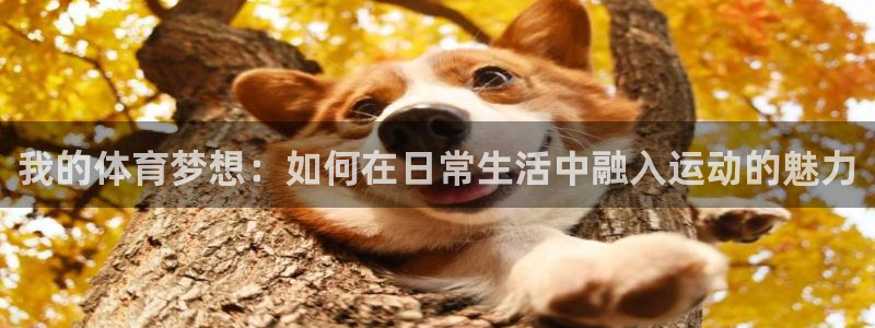 熊猫体育v3.新网页.org：我的体育梦想：如何在日常生活中融入运动的魅力
